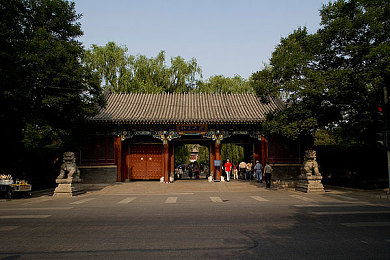 两个人激烈打扑克：扑克智斗，心跳加速，激情对弈，共享欢乐时光-1