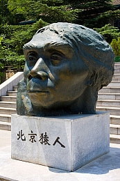 小樱被扒开腿做 18禁：幻境樱华：东方奇幻之旅，揭开神秘面纱，体验深度剧情与独特玩法-1