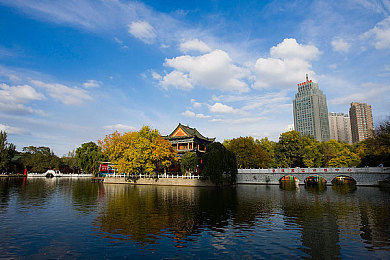 雷电将军和丘丘人繁衍后代详解：探寻神秘传奇：雷电将军与丘丘人后代之谜，揭开古老文明融合篇章-1