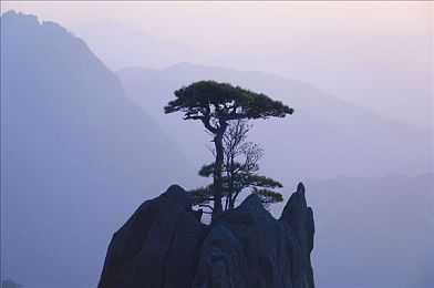 日本／调教／捆绑／紧缚：文化紧箍咒：道德边界与个性束缚的交织之谜