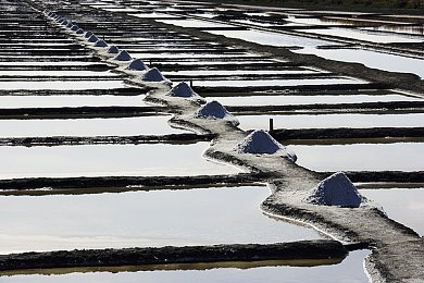 黄色软件3·0免费：免费陷阱下的网络江湖：隐私与竞争的博弈探秘