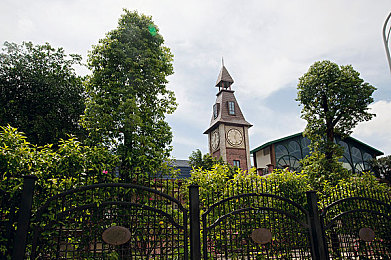 女保险公司推销员5中字商务旅行：职场女性勇闯创新之路，5字营销奇旅绽放光芒-1
