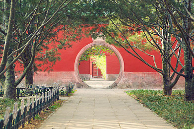 数学课代表让通免费网站：数学乐园解锁秘籍：课代表带你飞越解题之巅-1