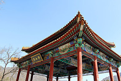 香蕉视频色：奇幻色彩之旅，探索生命活力乐园-1