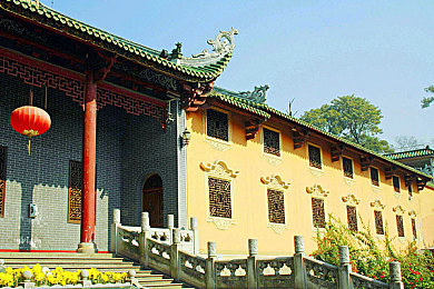 荷兰世姓交大官网直播：全球瞩目：荷兰世交大官网直播，展现学术魅力与文化风采-3