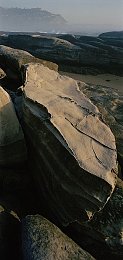 10大黄色禁用软件：揭秘游戏隐忧，守护纯净体验：告别黄色软件，畅游绿色天地-1