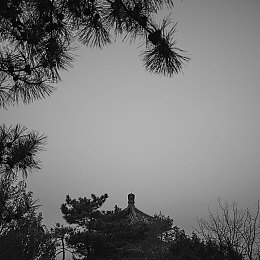 操逼软件儿-5