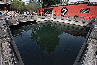 色中色下载：下载狂潮，速度与版权共舞-3