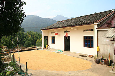 00粉嫩馒头学生一线天品种：学生早餐新宠：一线天馒头口感细腻，营养满分，人气飙升引关注-2
