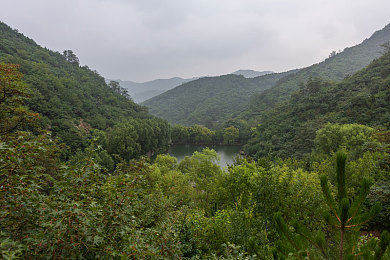 张婉莹,福建兄妹,紫色面具,牙子：幻彩迷局，笑闯方言奇遇记-1