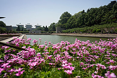 动漫美女啪啪啪：浪漫冒险之旅，动漫美女相伴，寻宝奇遇记-3
