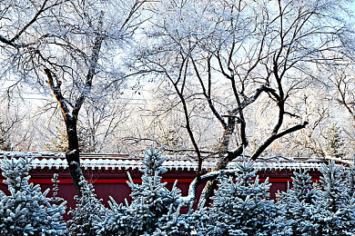 好·色·先·生tⅴ：古典穿越之旅，视觉盛宴中的文化寻踪