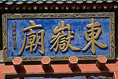 仙踪林免费视频入口老狼：探索仙踪秘境，畅享视听盛宴，开启数字光影之旅-2