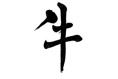 亚洲老妇毛茸茸：奇幻毛茸之地：探寻神秘奶奶的魔法冒险之旅-3