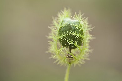 十大禁止安装应用入口在哪里：揭秘禁止安装应用风险：揭秘网络暗角，警惕下载陷阱-4