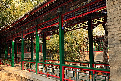 榴莲视频黄色：穿越榴色幻境，勇闯技能奇缘-3