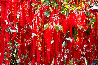 日本一卡：畅游虚拟世界，解锁“日本一卡”新纪元-4