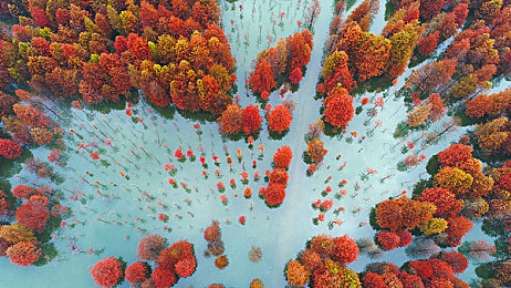 18岁禁止APP：隐秘花园，解锁成年心灵的治愈密码-2