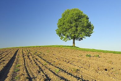 性别 隐 自由 凸轮：数字化隐秘挑战：揭秘网络时代隐私保护的性别隐秘与自由边界-5