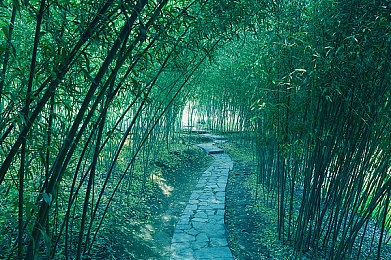 火影18十手游下载：忍者梦想再续，火影手游魅力燃情绽放，经典重现引热议-5