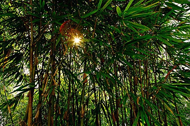 体育生白袜自慰：“社交媒体不当内容引发关注：青少年价值观教育亟待加强，共筑健康成长环境”-5