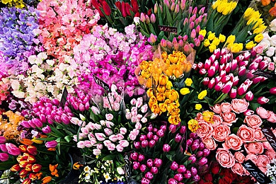 芒果tv永久破解版免内购：破解风波再起，版权意识觉醒刻不容缓-2