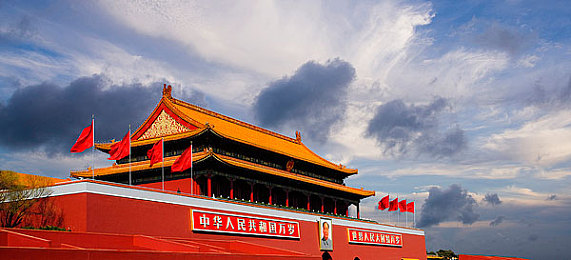 成年人www：网络清风守卫者：揭秘监管新趋势，共建清朗虚拟世界-2