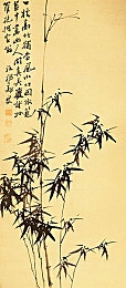 黄片软件3.0版本：颠覆体验，智选盛宴——创新软件新篇章-5