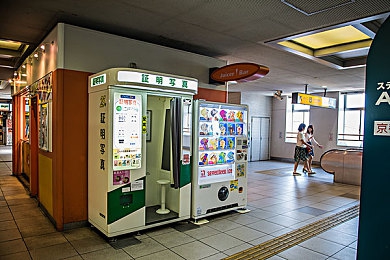 十大黄片应用：探寻秘境，揭秘禁地：数字花园里的隐秘之旅