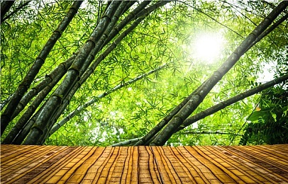 三上悠亜最好看的一部番号：动漫之魅，悠亚风采：经典瞬间，惊艳舞动人生-4