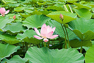 男生和女生叉：礼仪演变中的风采演绎：从古代规范到现代时尚的叉腿美学之旅-4