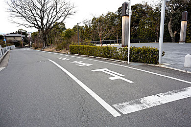 高中男男宿舍Gay互吃鳮网站：网络阴影下的青春困境：揭开校园性教育滞后之痛-4